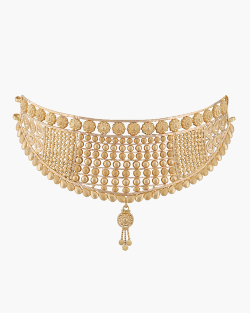 Sawansukha Gold Choker Necklace
